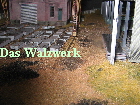 Walzwerkes